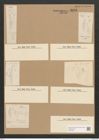 Amphora acutiuscula Kütz. (de-Toni-Nr.: Genus 36, Species 1547) Zeichnungen Sammlung Grunow Nr. 2978 (NHMW-BOT-W0370343)
